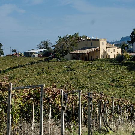 Masseria Del Vino Villa Loreto Aprutino Exterior foto