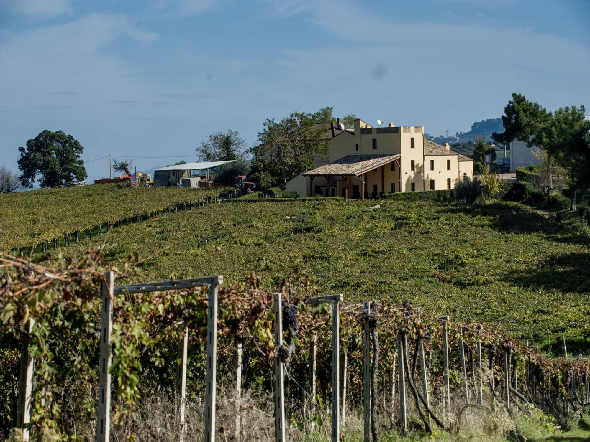 Masseria Del Vino Villa Loreto Aprutino Exterior foto