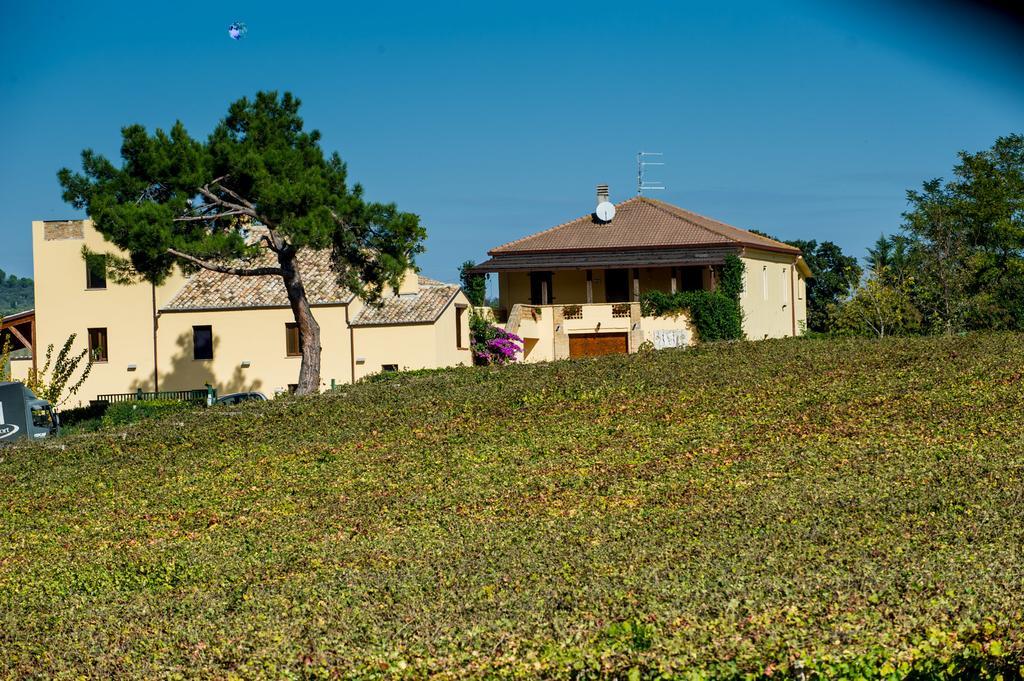 Masseria Del Vino Villa Loreto Aprutino Exterior foto