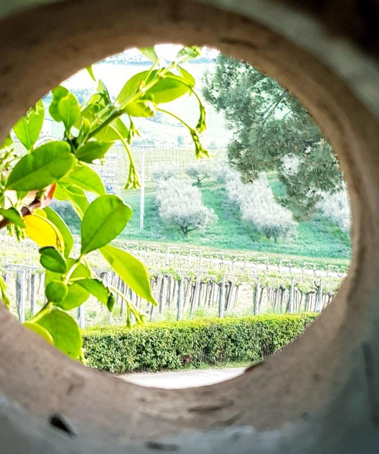 Masseria Del Vino Villa Loreto Aprutino Exterior foto